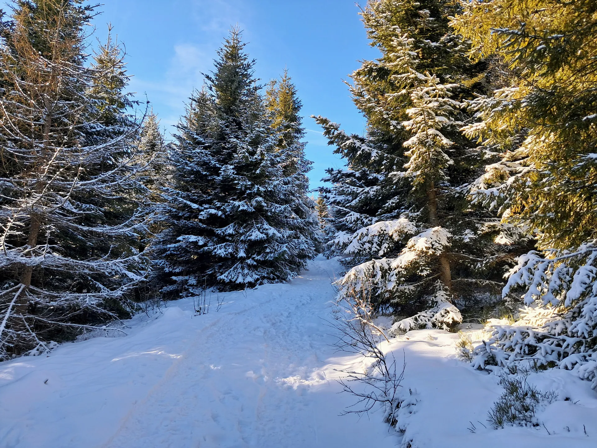 Zima w górach