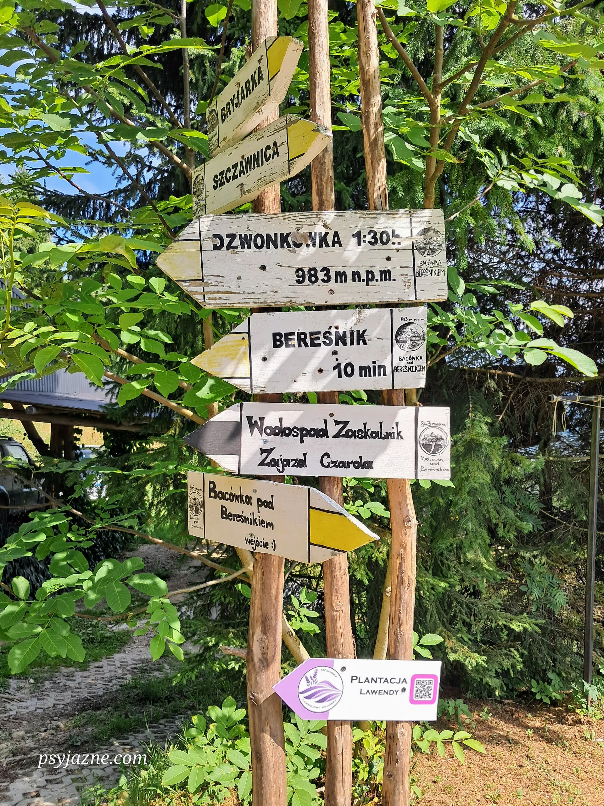 znaki