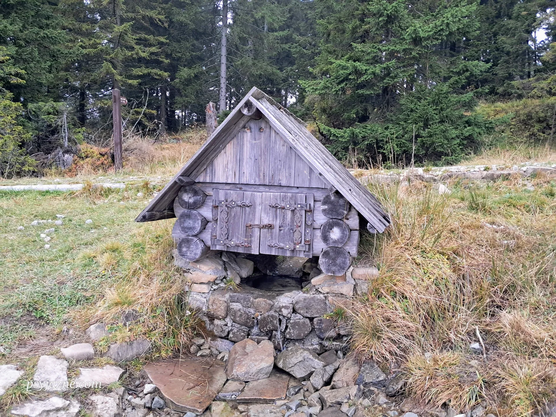 Źródełko Miłości na Hali Długiej